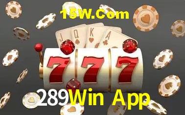 Experiência VIP 289Win App