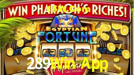 Estatísticas 289Win App